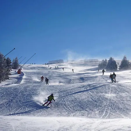 Cajetinski Biser-apartment Classic * Kopaonik