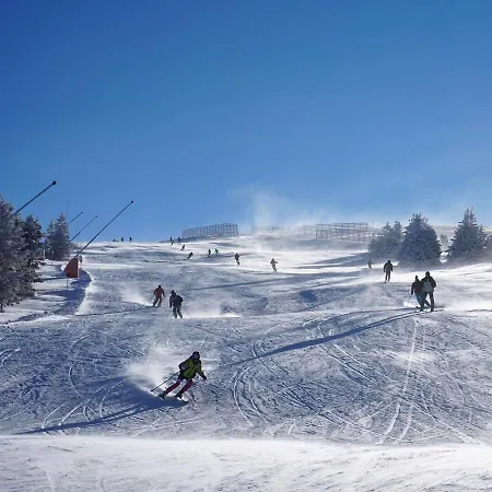 Cajetinski Biser-apartment Classic * Kopaonik