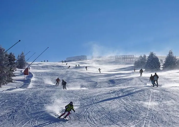 Cajetinski Biser-apartment Classic * Kopaonik
