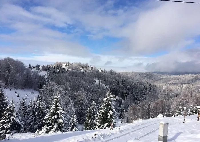 Cajetinski Biser-apartment Classic * Kopaonik